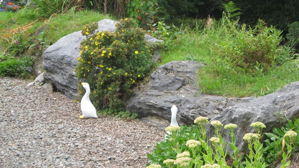 An Bruachan B&B Kenmare Exteriér fotografie