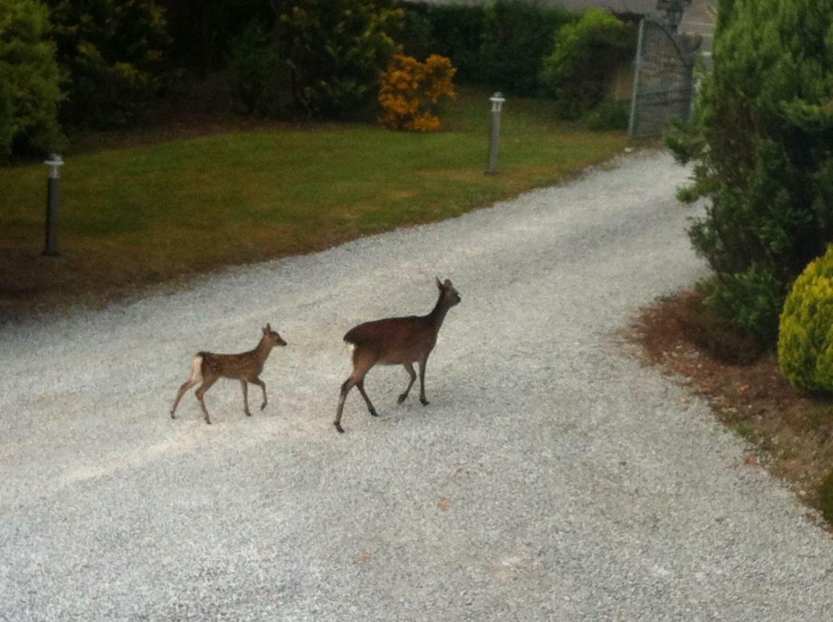 An Bruachan B&B Kenmare Exteriér fotografie